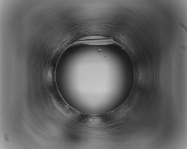 X0000099460214200805161055