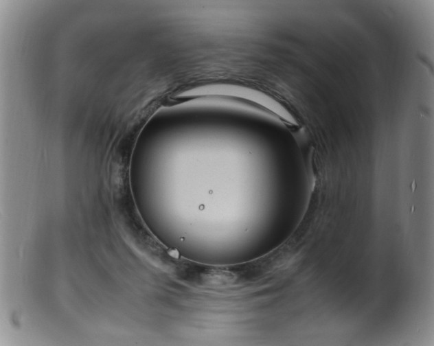 X0000099460215200805161055