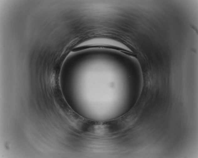 X0000099460216200805161055