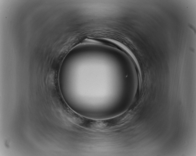 X0000099460217200805161055