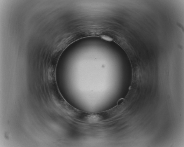 X0000099460218200805161055