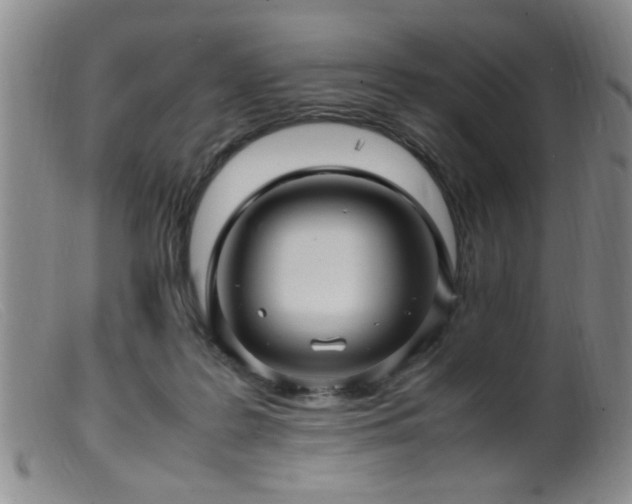 X0000099460219200805161055