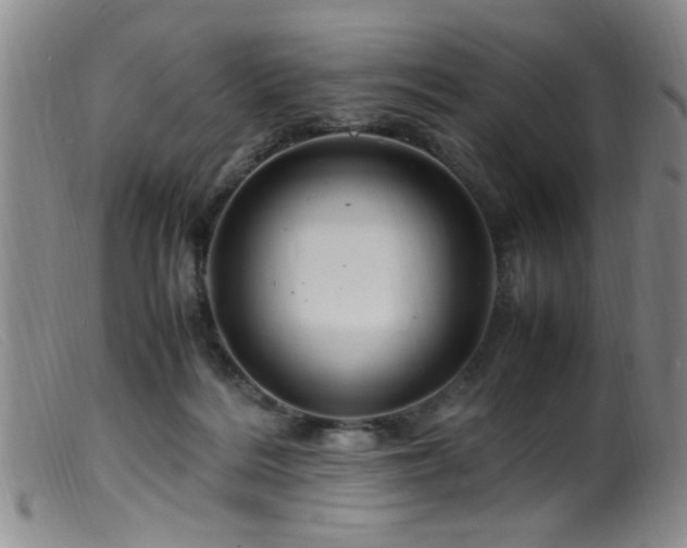 X0000099460220200805161055