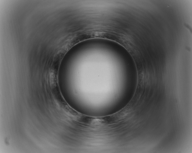 X0000099460222200805161055