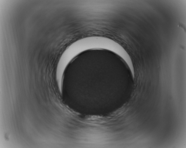 X0000099460223200805161055