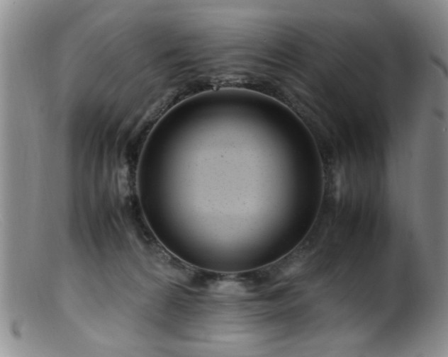 X0000099460224200805161055