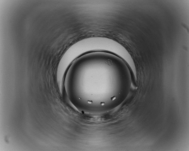 X0000099460225200805161055