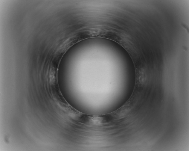 X0000099460226200805161055