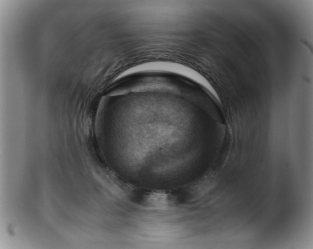 X0000099460227200805161055