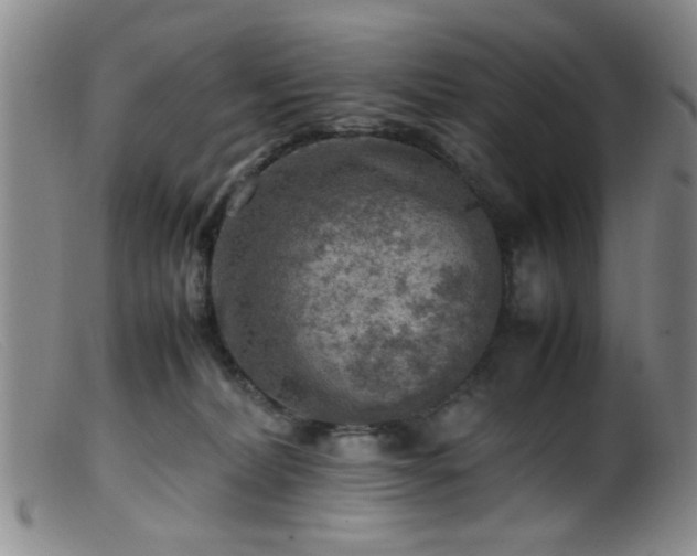 X0000099460228200805161055