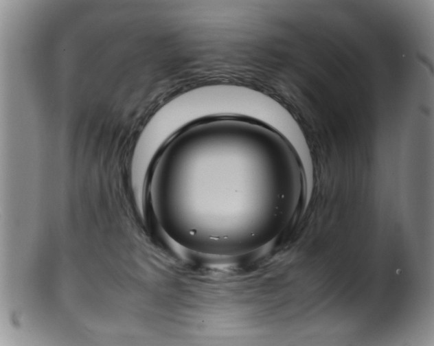 X0000099460229200805161055