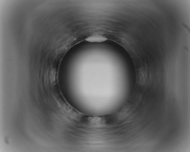 X0000099460230200805161055