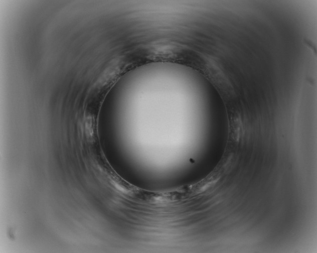 X0000099460232200805161055