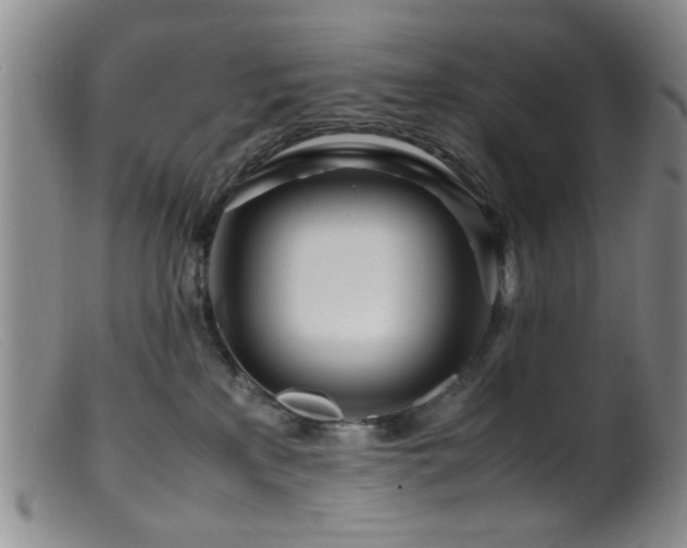 X0000099460233200805161055