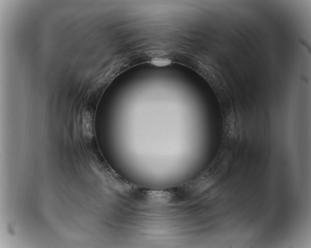 X0000099460234200805161055