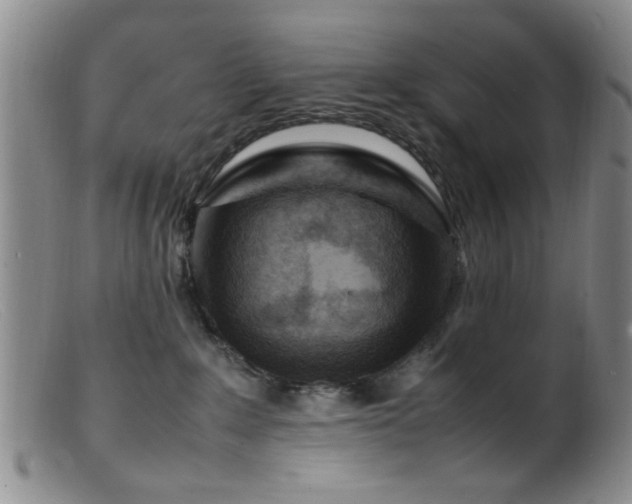 X0000099460235200805161055