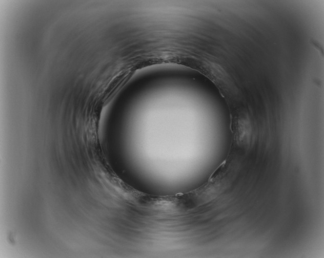 X0000099460236200805161054