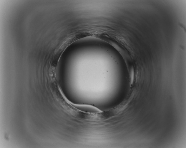 X0000099460237200805161054