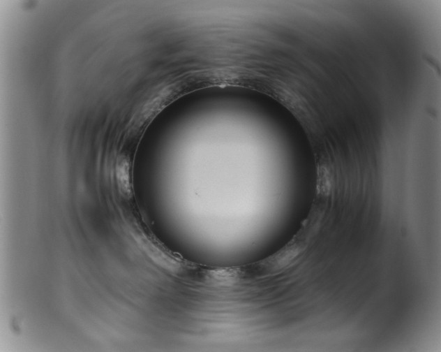 X0000099460238200805161054