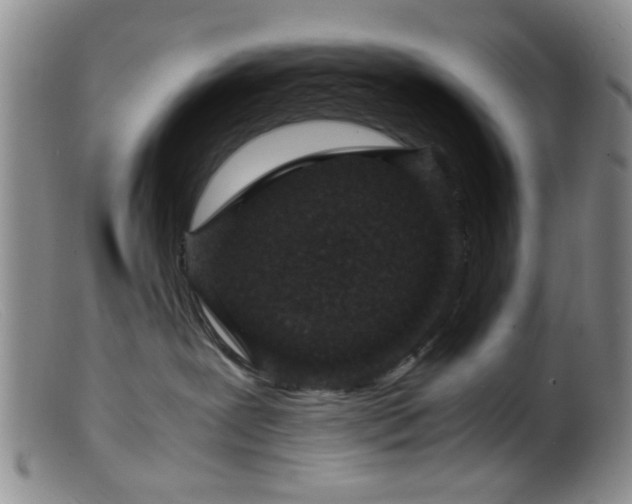 X0000099460239200805161054