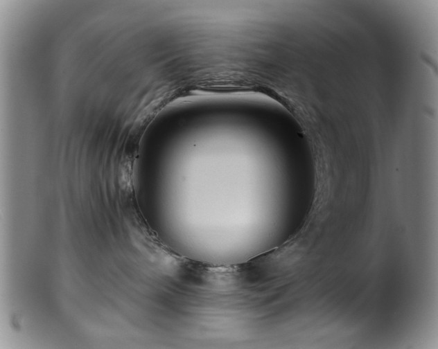 X0000099460240200805161054