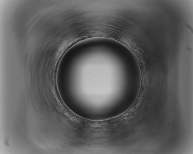 X0000099460241200805161054