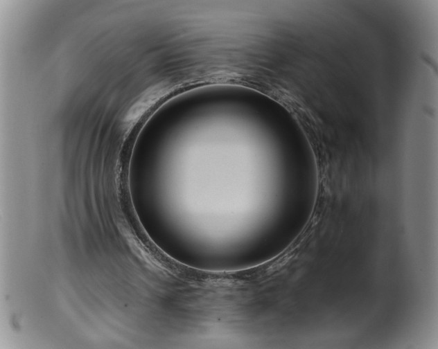 X0000099460242200805161054