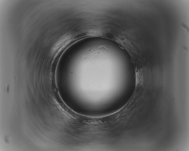 X0000099460243200805161054