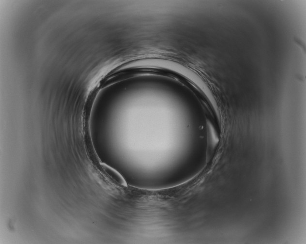 X0000099460244200805161054