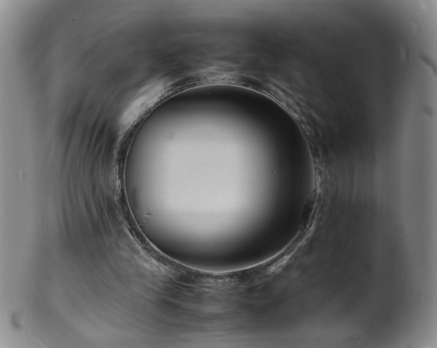 X0000099460245200805161054