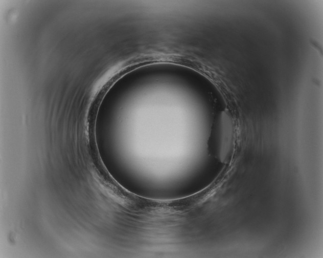 X0000099460246200805161054