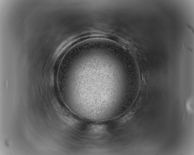 X0000099460247200805161054