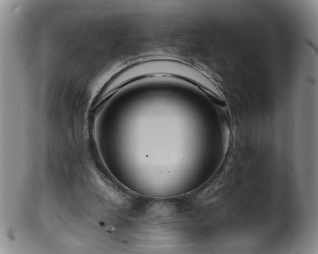 X0000099460248200805161054