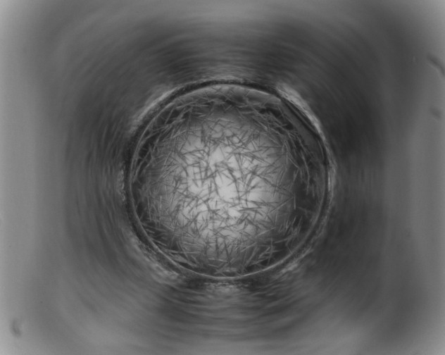 X0000099460249200805161054