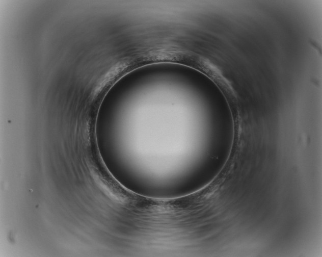 X0000099460250200805161054