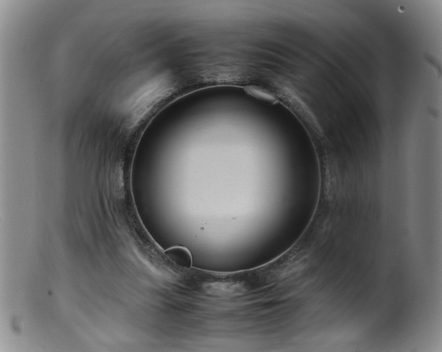 X0000099460251200805161054