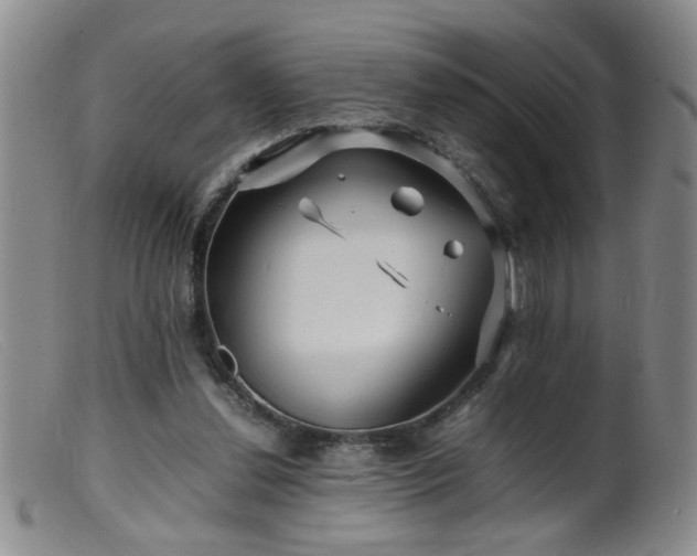 X0000099460252200805161054