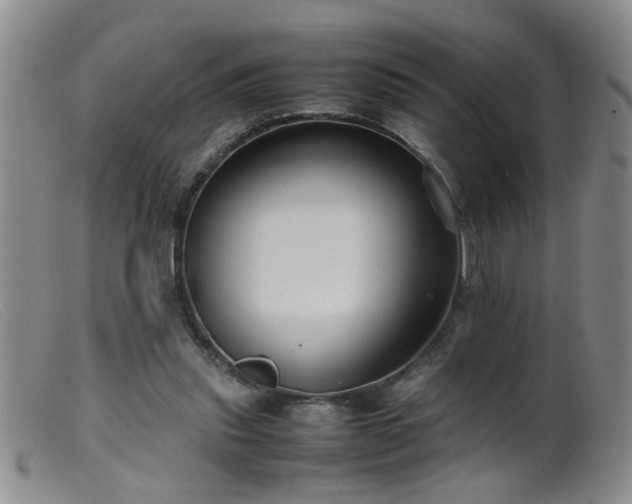 X0000099460253200805161054