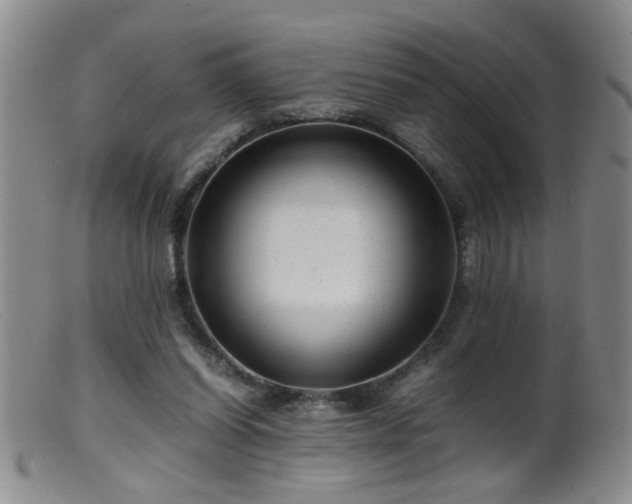 X0000099460254200805161054