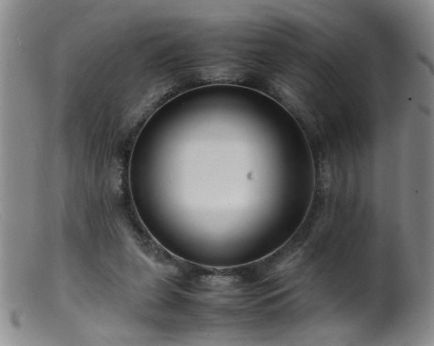 X0000099460255200805161054