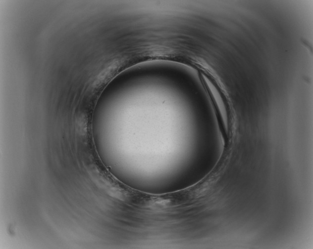 X0000099460257200805161054