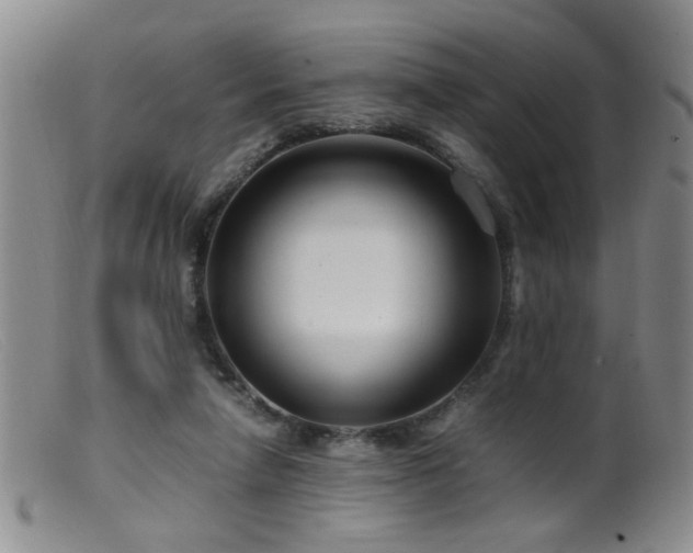 X0000099460258200805161054