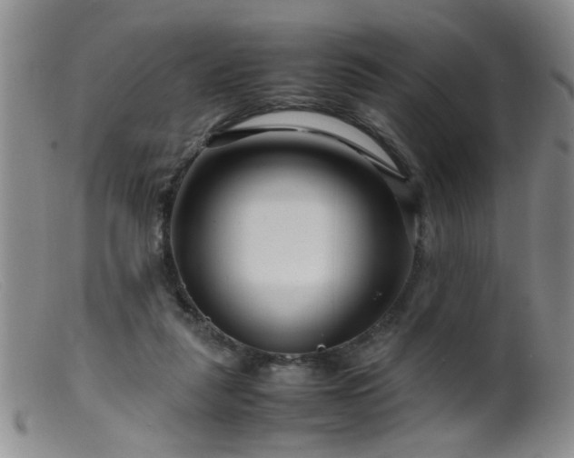 X0000099460259200805161054