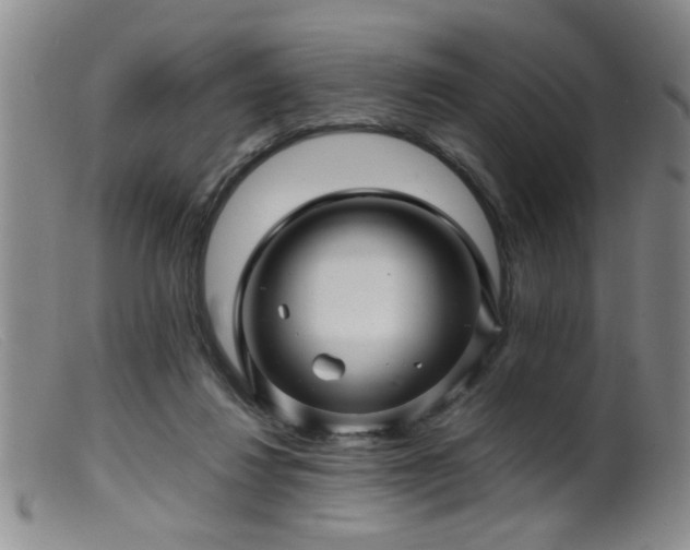 X0000099460260200805161054