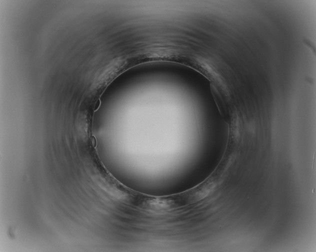 X0000099460261200805161054