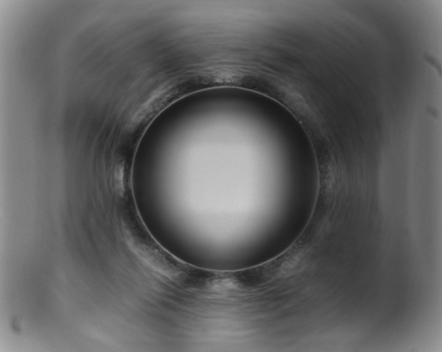 X0000099460262200805161054