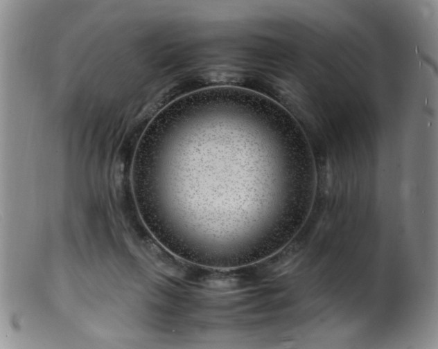 X0000099460263200805161054