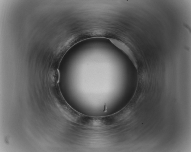 X0000099460264200805161054