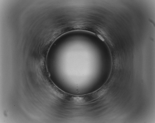 X0000099460265200805161054