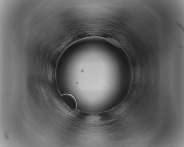 X0000099460266200805161054